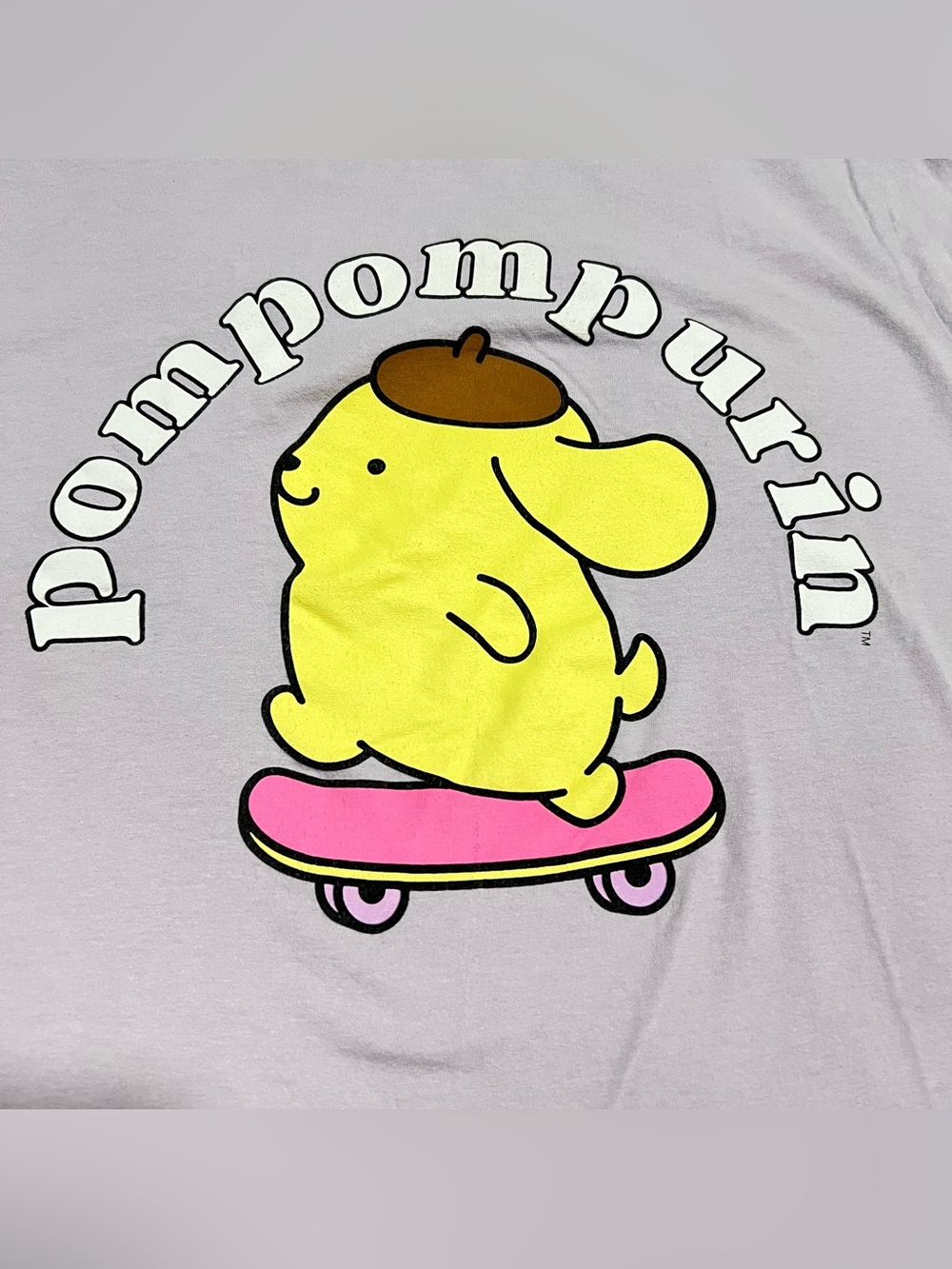 Sanrio Pompompurin Graphic T-shirt Size Small Skateboard